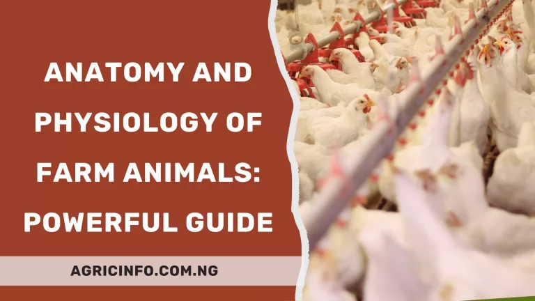 Anatomy And Physiology of Farm Animals: Powerful Guide for 2024