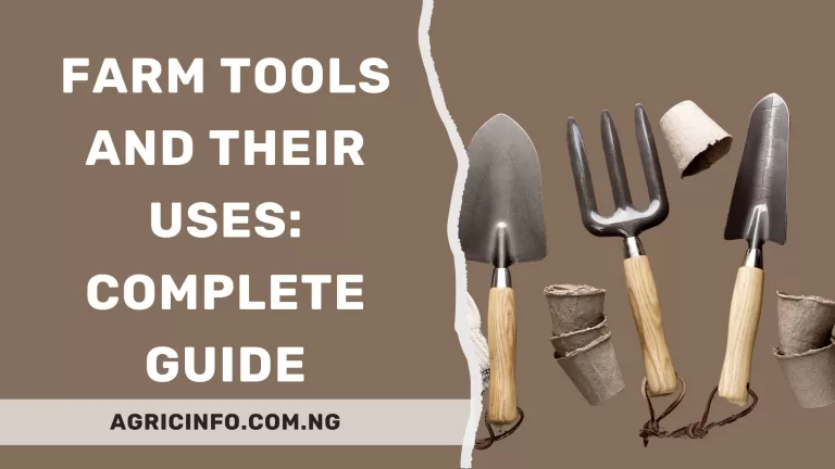 20 Must Have Farm Tools and their Uses 2024: Complete Guide 