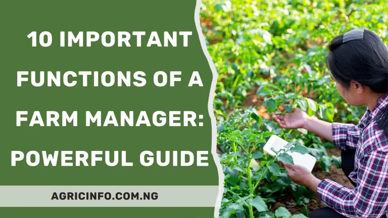 10 Important Functions of a Farm Manager: Powerful Guide