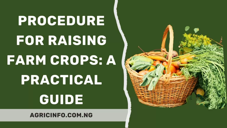 Procedure for Raising Farm Crops 2024: A Practical Guide