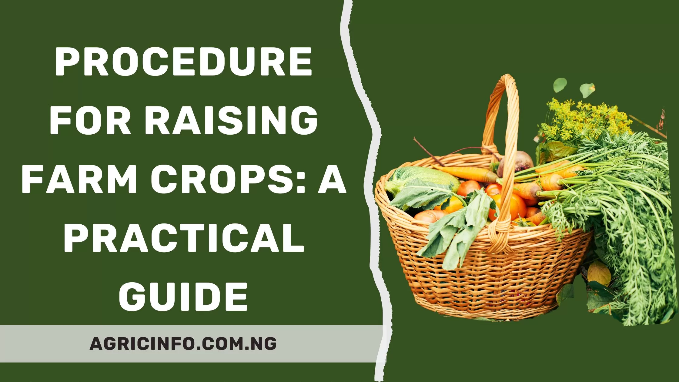 procedure for raising farm crops