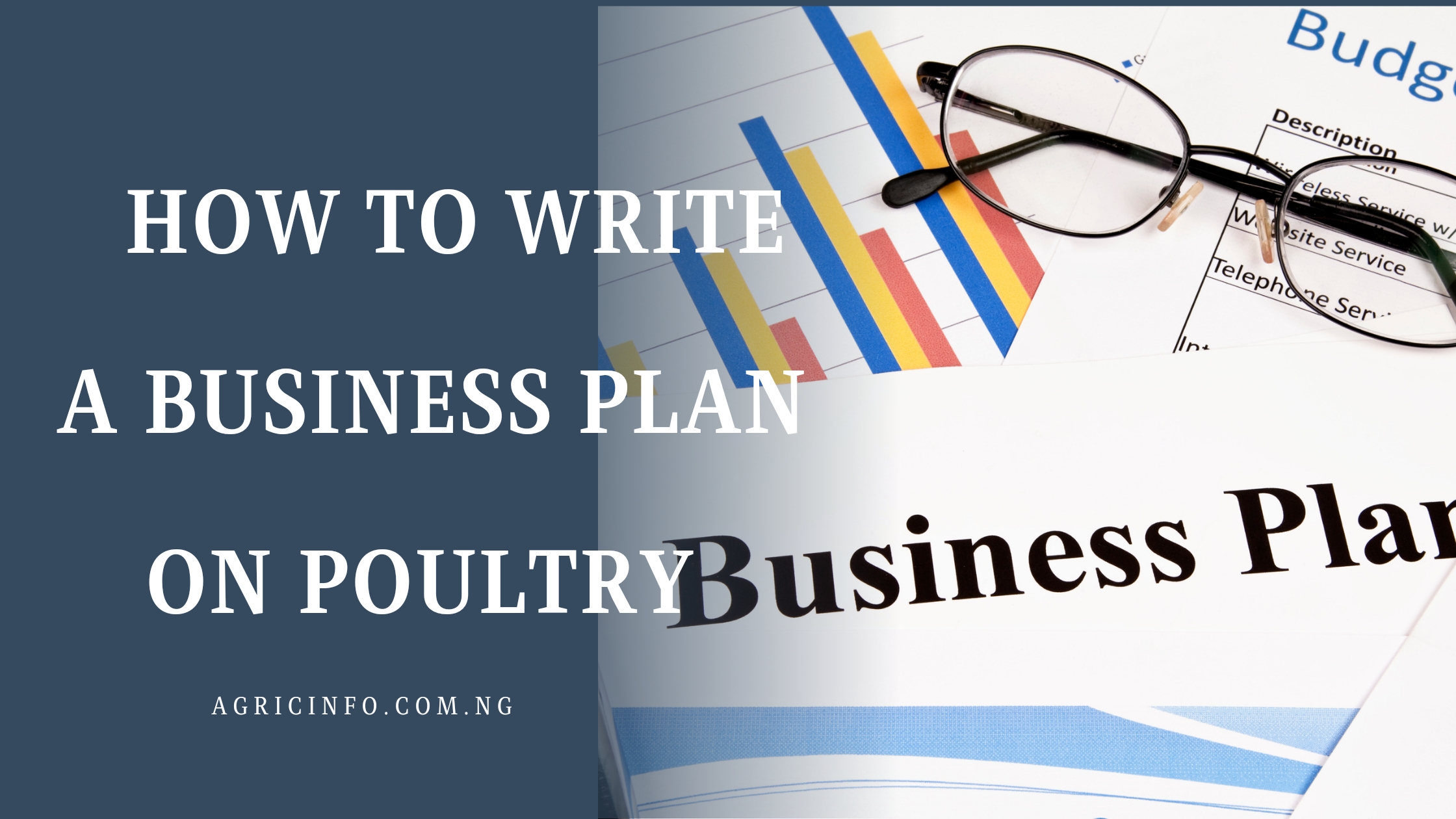 how to write a business plan for Poultry