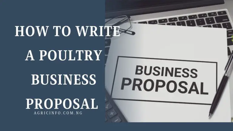 How to Write a Poultry Business Proposal in 2024: Step-by-Step Guide