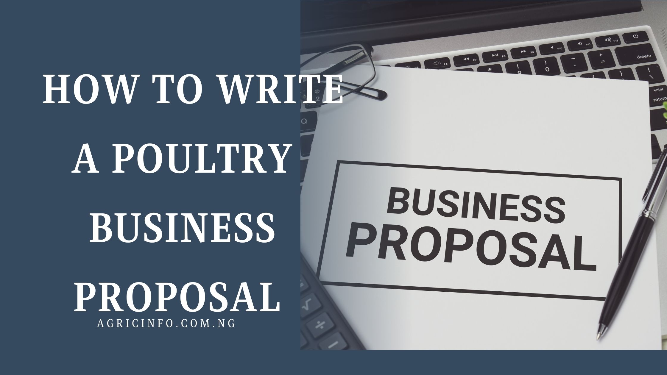 how to write a poultry business proposal